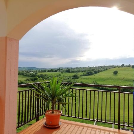 Agriturismo Podere Verdicchio Скансано Екстериор снимка