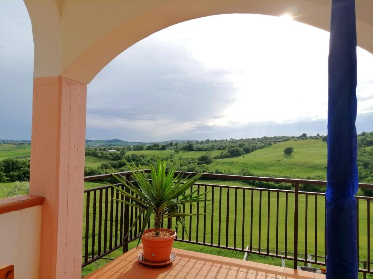 Agriturismo Podere Verdicchio Скансано Екстериор снимка