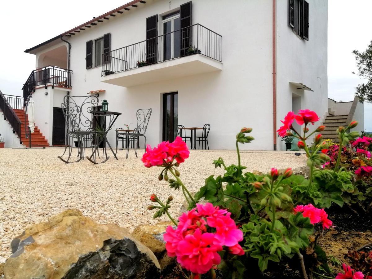 Agriturismo Podere Verdicchio Скансано Екстериор снимка