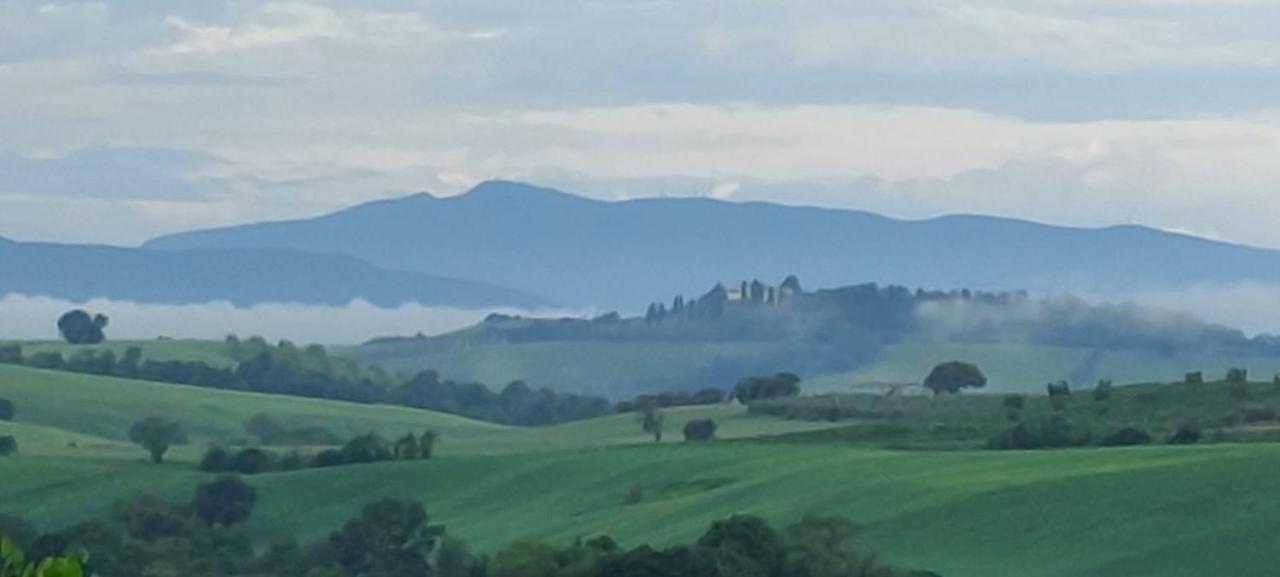 Agriturismo Podere Verdicchio Скансано Екстериор снимка