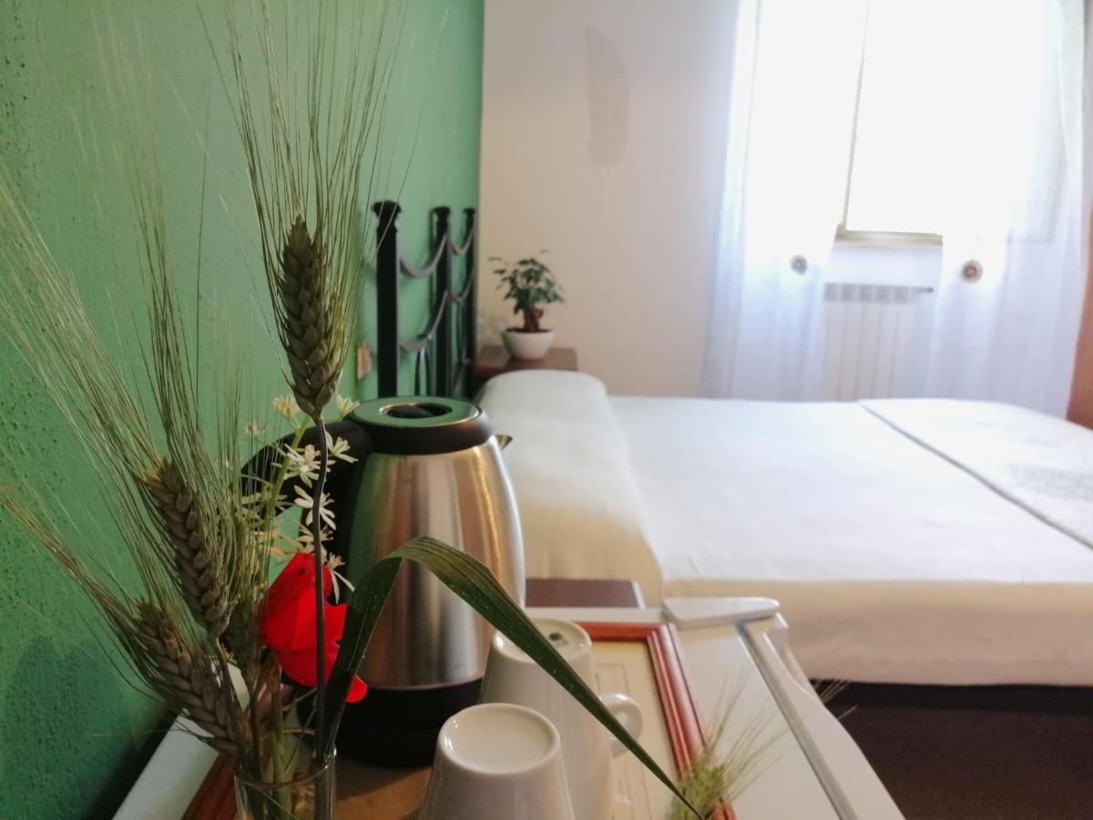 Agriturismo Podere Verdicchio Скансано Екстериор снимка